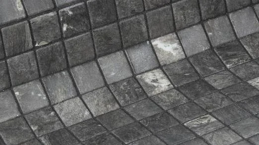 Phylite Mosaic