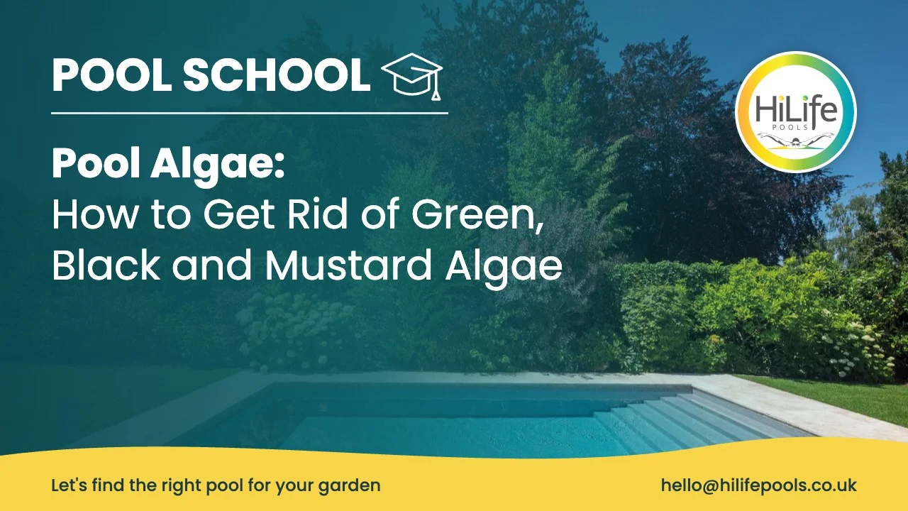 pool algae featured Pool algae guide from HiLife Pools, with a clear pool beside a lawn and mature trees